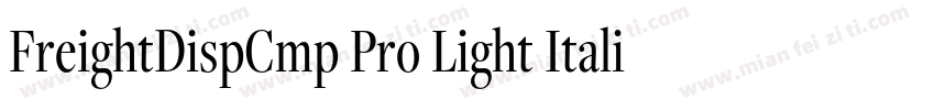 FreightDispCmp Pro Light Italic字体转换